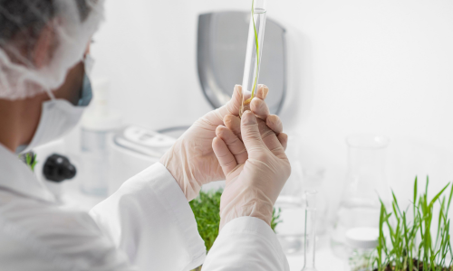Agricultural laboratory