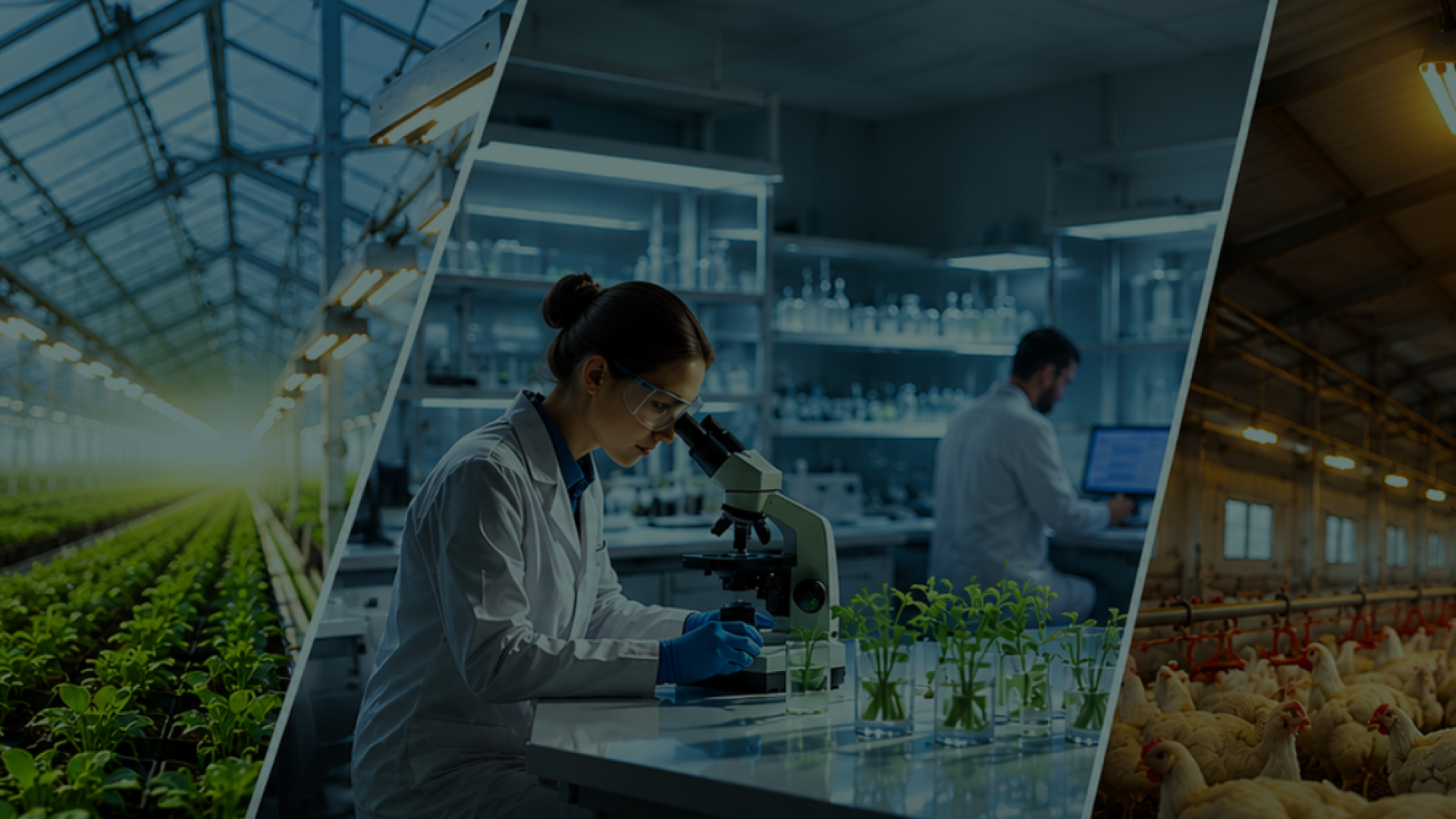 Agriculture, biotechnology and animal production solutions in Latin America